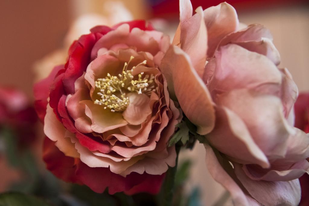 Cavour33 Bed and Breakfast Massa  Buitenkant foto